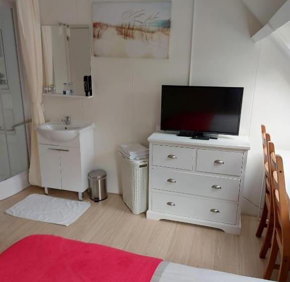 スタンダードシングルルーム, Bed & Breakfast D'ouwe Smidse