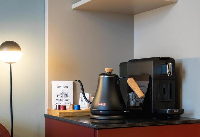 Номер Стандарт, Boutique Hotel Waldhaus Beider Basel