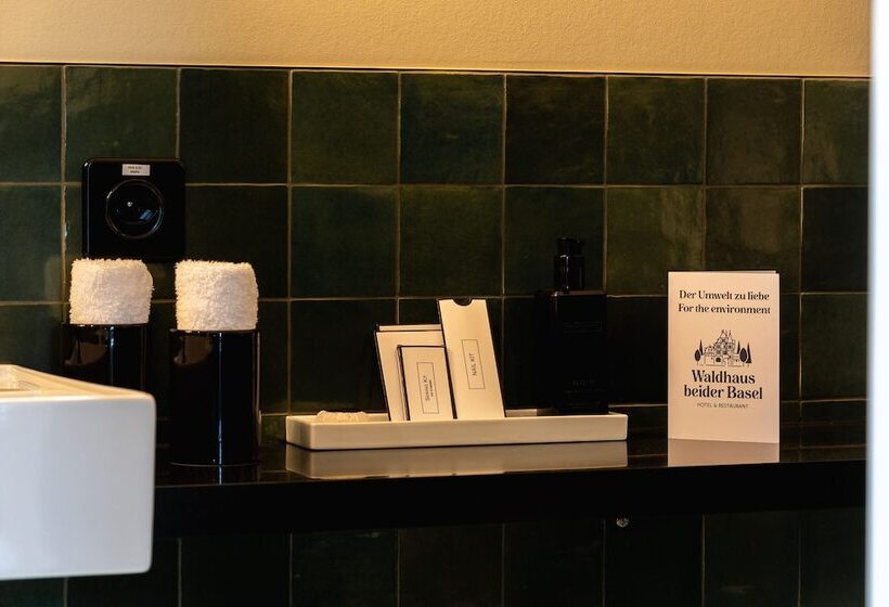 Номер Стандарт, Boutique Hotel Waldhaus Beider Basel