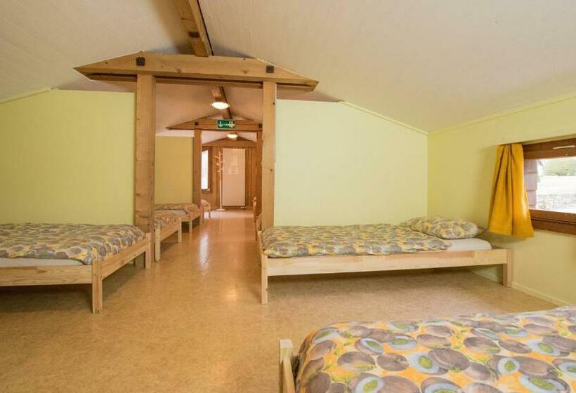 共用房间的床, Schutzenbach Backpackers For Adults 18 35