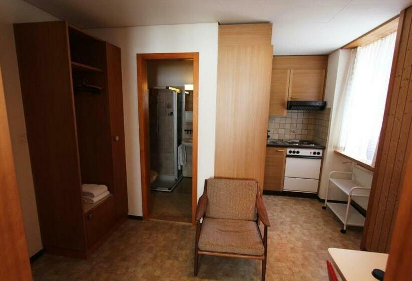 חדר סטנדרט יחיד, Restaurant Alpina