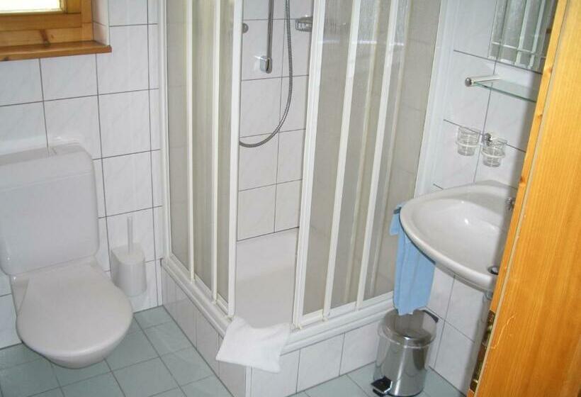 חדר סטנדרט יחיד, Ahorni