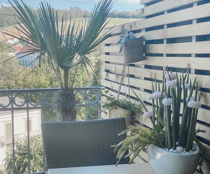 جناح جونيور, Ajoiespa