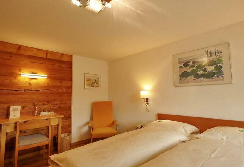 חדר סטנדרט עם מרפסת, Alpenblick