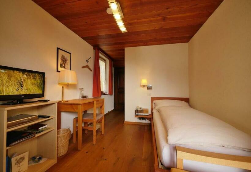 חדר סטנדרט יחיד עם מרפסת, Alpenblick