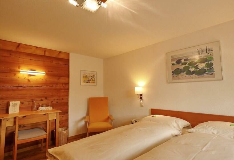 חדר דלוקס יחיד, Alpenblick