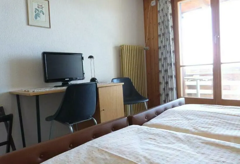 Standard-huone, Bellevue