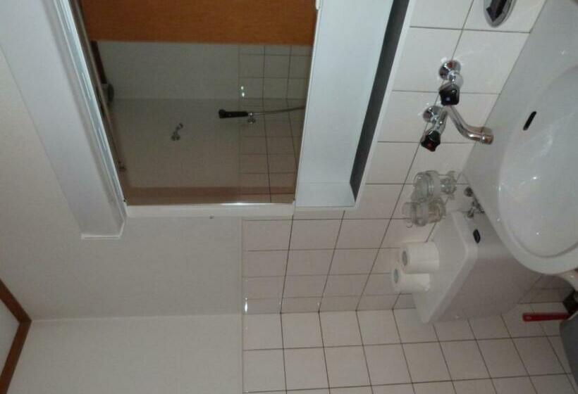 חדר סטנדרט יחיד, Bellevue