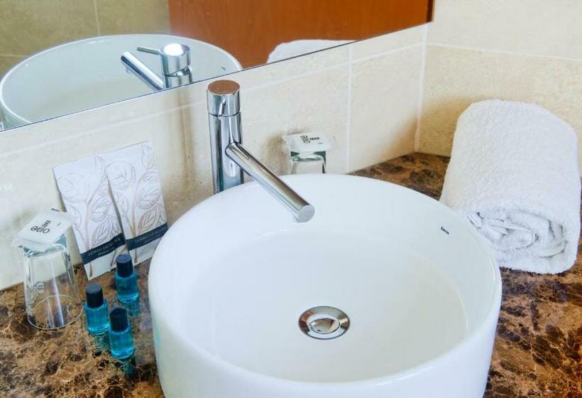 غرفة قياسية, D. Dinis