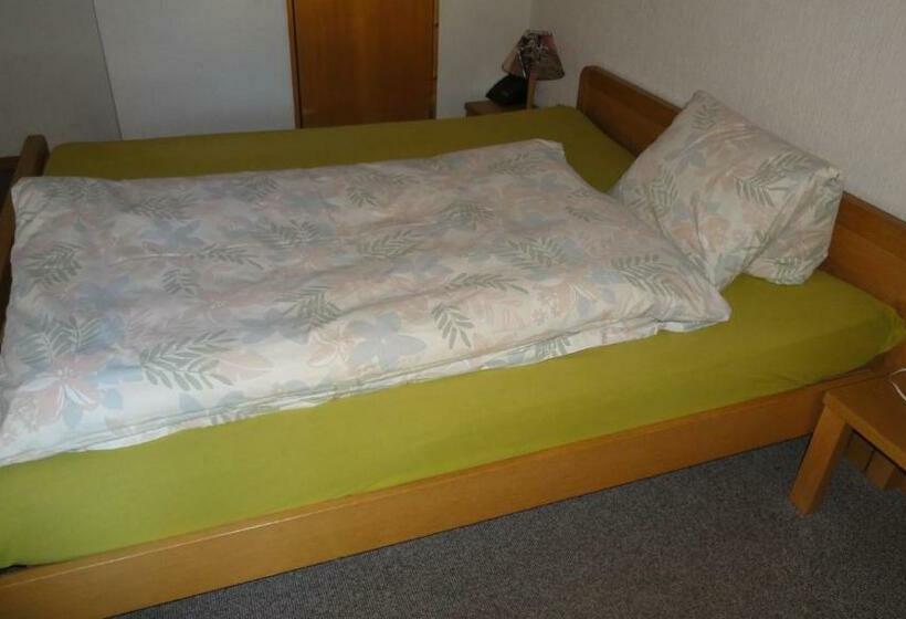 חדר סטנדרט, Landgasthof Hotel Adler