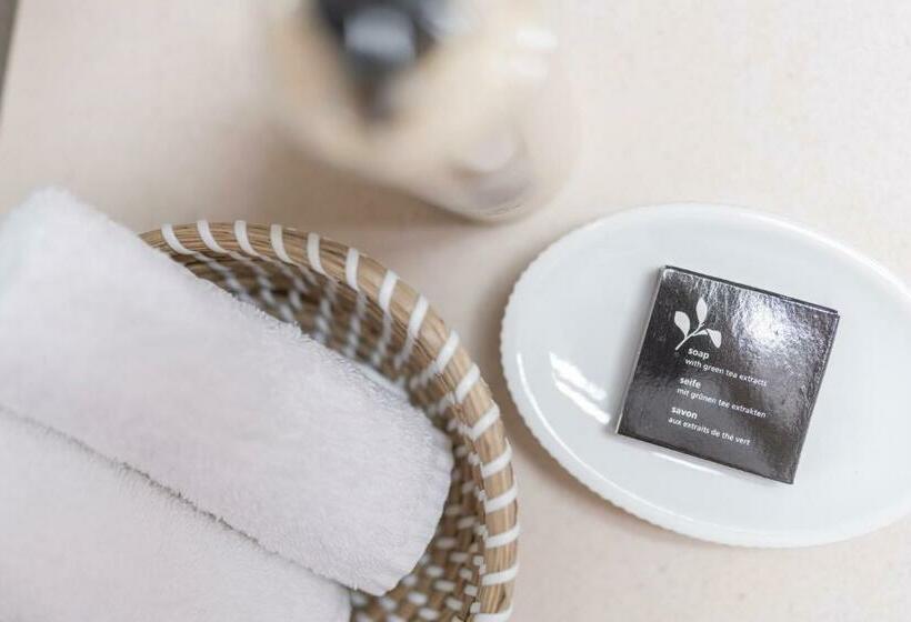 חדר קלאסי לארבעה, Le Rive Sud