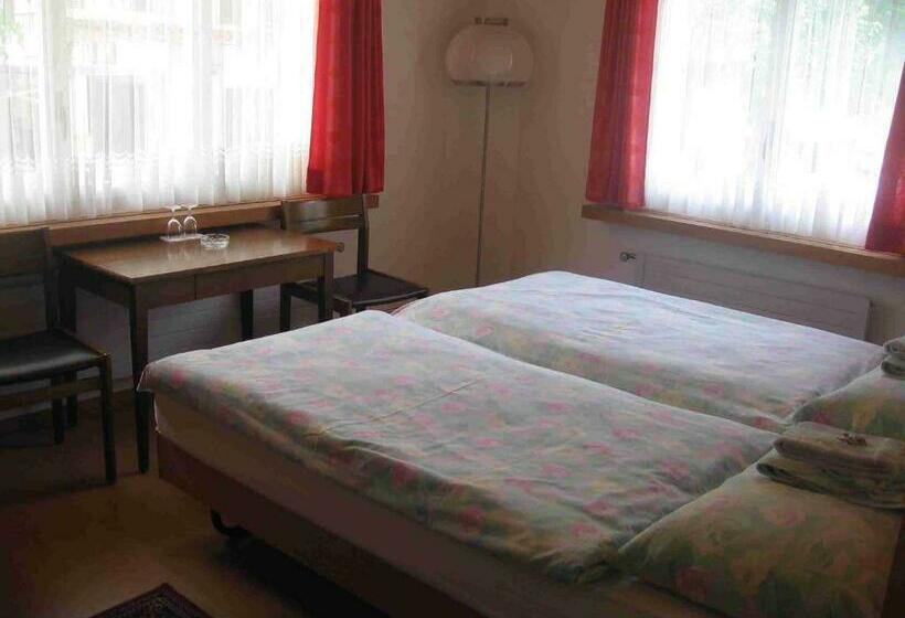 스탠다드 룸 공동 욕실, Restaurant Stechelberg Bed & Breakfast