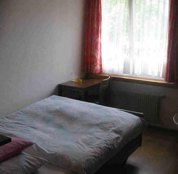 اتاق استاندارد یک تخته با سرویس بهداشتی مشترک, Restaurant Stechelberg Bed & Breakfast