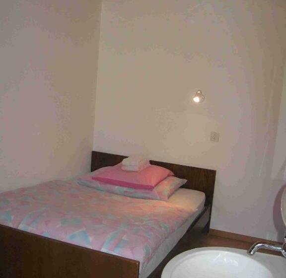 标准单人间共用浴室, Restaurant Stechelberg Bed & Breakfast