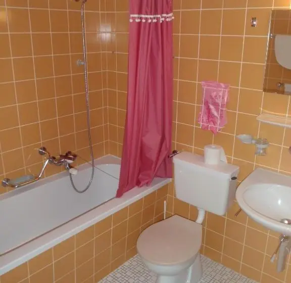 Standard Kolmen Hengen Huone, Restaurant Stechelberg Bed & Breakfast