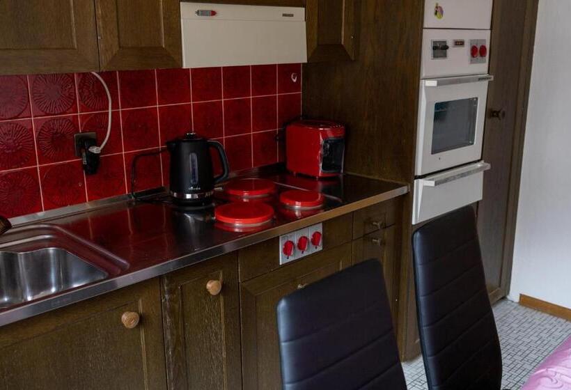 آپارتمان 1 خوابه, Restaurant Stechelberg Bed & Breakfast