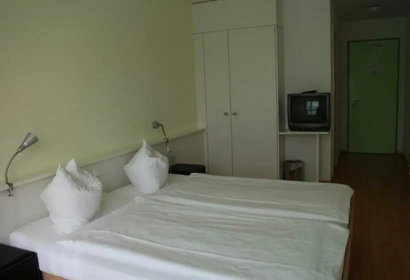 Standard Yhden Hengen Huone, Seminar Hotel Rigi Am See
