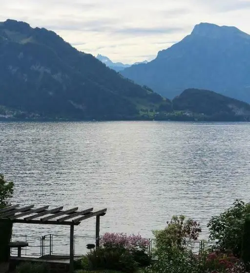 Standard Yhden Hengen Huone, Seminar Hotel Rigi Am See