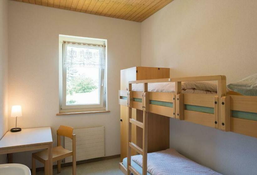 스탠다드 싱글 룸 공동욕실, Stein Am Rhein Youth Hostel