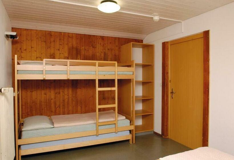 스탠다드 싱글 룸 공동욕실, Stein Am Rhein Youth Hostel