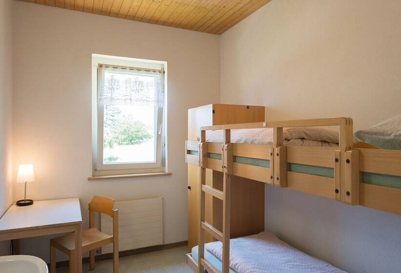 스탠다드 싱글 룸 공동욕실, Stein Am Rhein Youth Hostel