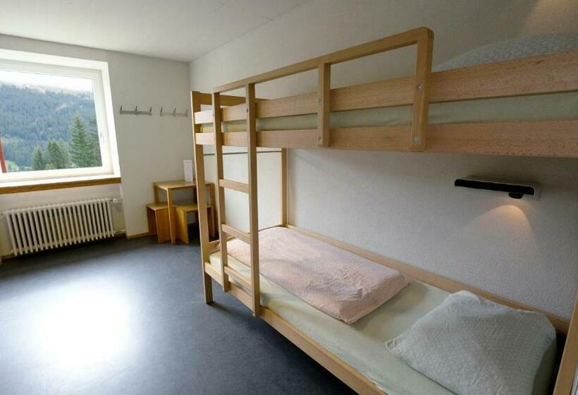اتاق استاندارد با سرویس بهداشتی مشترک, Valbellalenzerheide Youth Hostel