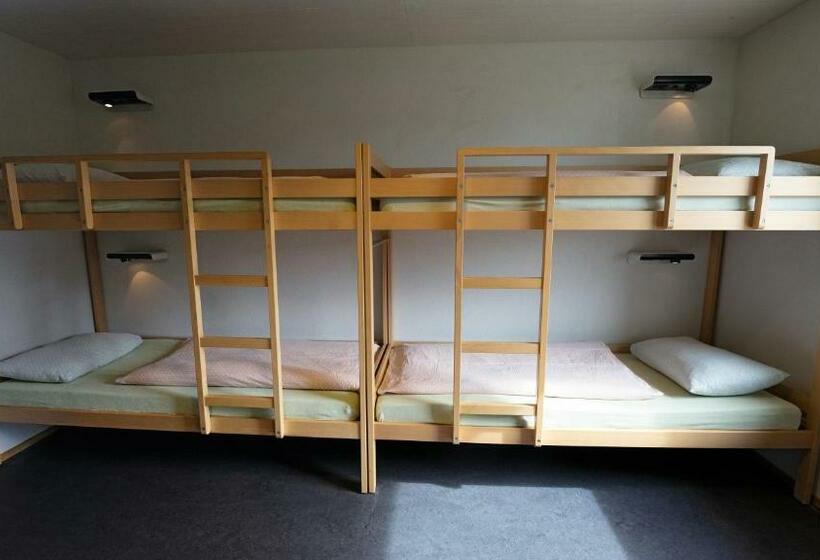 اتاق استاندارد با سرویس بهداشتی مشترک, Valbellalenzerheide Youth Hostel