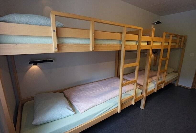 اتاق استاندارد چهارنفره با سرویس بهداشتی مشترک, Valbellalenzerheide Youth Hostel