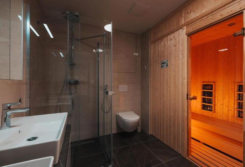 带1个卧室的带阳台的公寓, Molo Lipno Residence