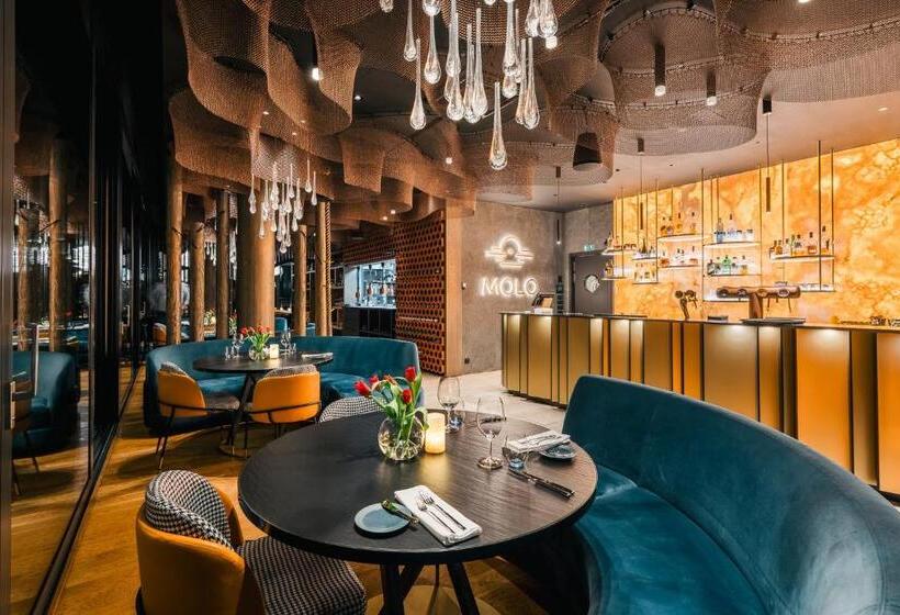 带1个卧室的豪华公寓, Molo Lipno Residence