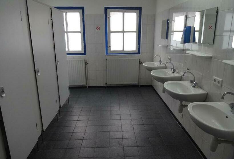 חדר סטנדרט חדר אמבטיה משותף, Pension Zevenbergen