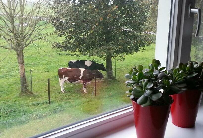 חדר סופריור נוף לגינה, B&b De Rivierduin