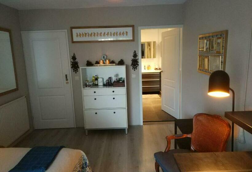 חדר סופריור נוף לגינה, B&b Hoofddorp