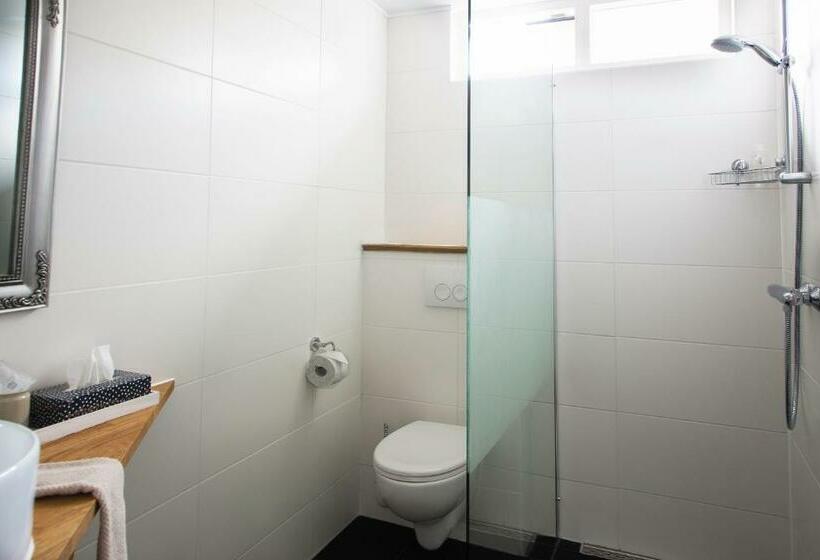 סטודיו סטנדרטי נוף לגינה, B&b Hoofddorp