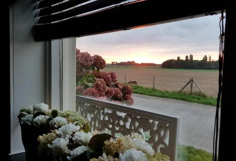 １階の１ベッドルームアパートメント, Logement Hellevoetsluis