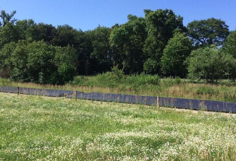 Standard Bungalow, Op 't Oorbeck