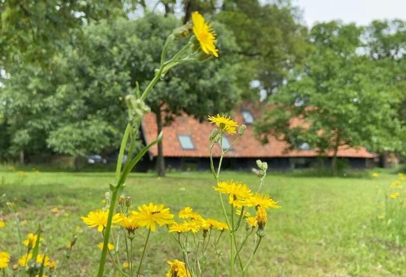 Standard Bungalow, Op 't Oorbeck