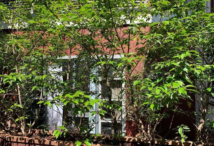 标准间带露台, Zocher6 Bnb A Monumental Town House In The City Center