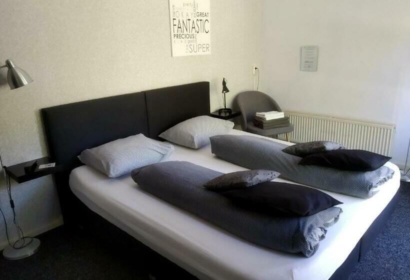 اتاق استاندارد با سرویس بهداشتی مشترک, Bed & Breakfast Zuidlaren