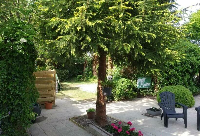 اتاق استاندارد یک تخته با سرویس بهداشتی مشترک, Bed & Breakfast Zuidlaren