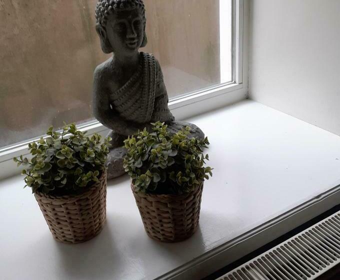 标准单人间, Simplon Hostel