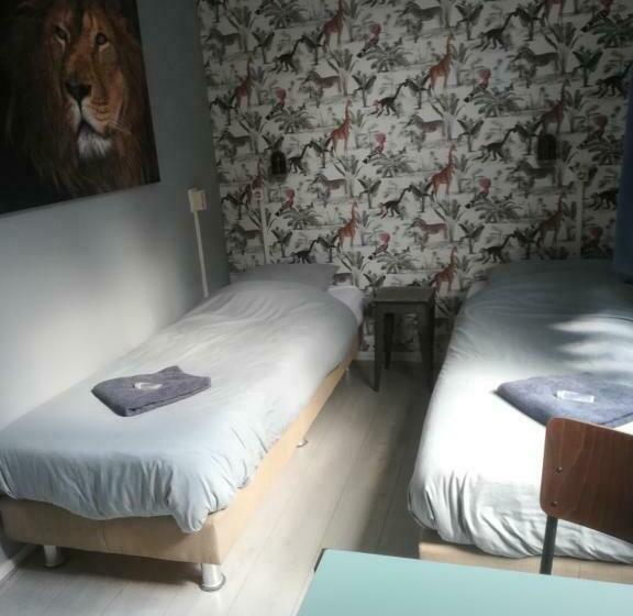 חדר סטנדרט, Simplon Hostel