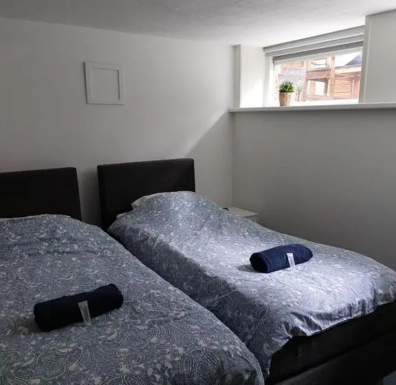Appartement 1 Chambre, Simplon Hostel