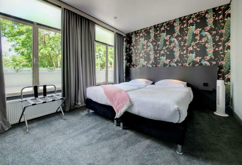 スタンダードルーム, Sutor