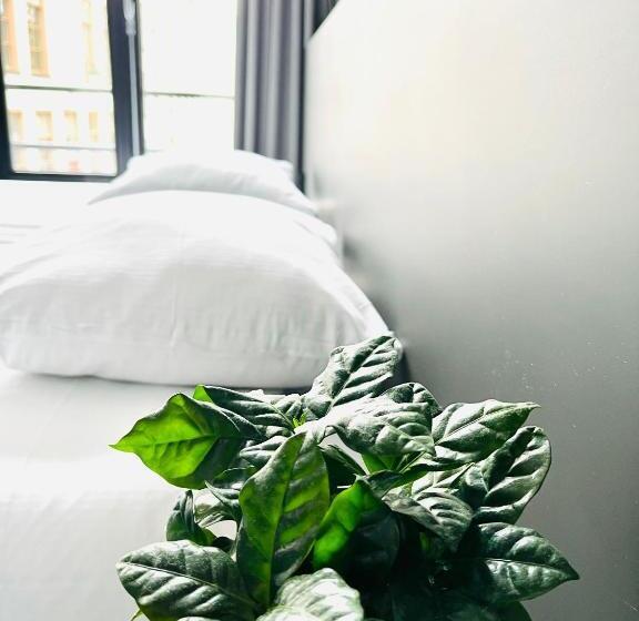 スタンダードルーム, Sutor