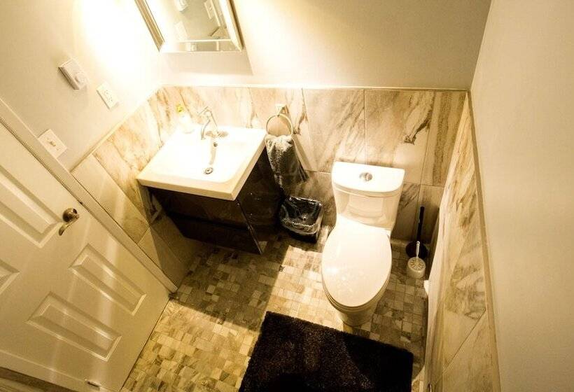 اتاق سوپریور, The Only Backpacker S Inn