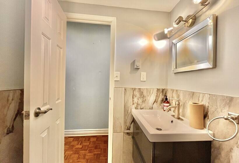 اتاق سوپریور, The Only Backpacker S Inn