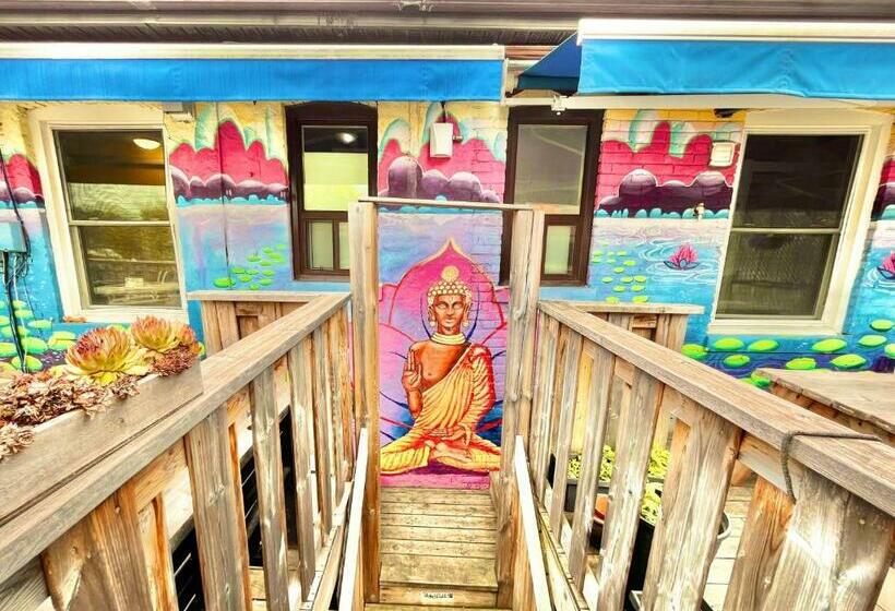 Bed in Shared Room with Shared Bathroom, The Only Backpacker S Inn