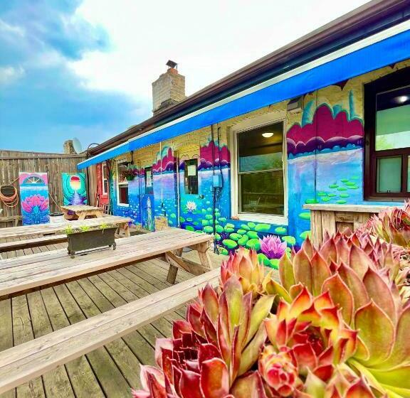 Bed in Shared Room with Shared Bathroom, The Only Backpacker S Inn