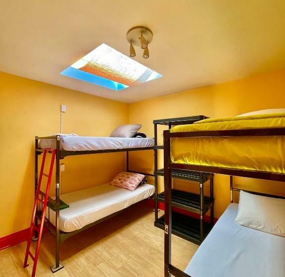 Bed in Shared Room with Shared Bathroom, The Only Backpacker S Inn